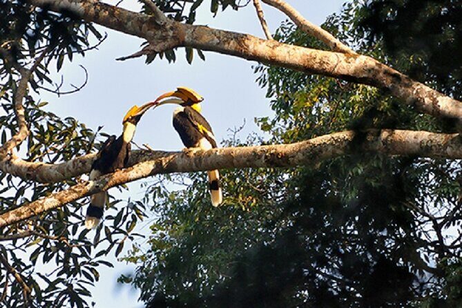 Khaosok Jungle Exploration from Khaolak - Frequently Asked Questions