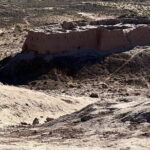 Khorezm Fortress and KyzylKum Desert Private Tour - The Sum Up