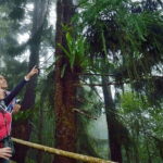Kinabalu National Park Tour - What Travelers Say