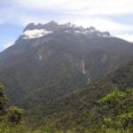 Kinabalu Park & Poring Hot Spring Tour - What the Reviews Say
