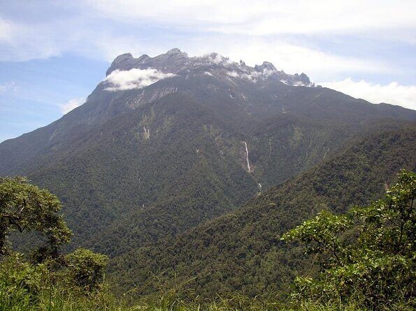 Kinabalu Park & Poring Hot Spring Tour