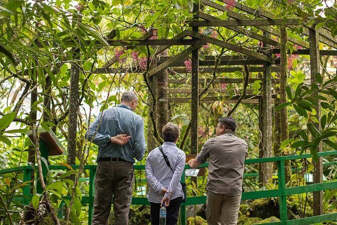 Kinabalu Park & Poring Hot Springs Tour with Desa Dairy Farm - Practical Considerations & Tips