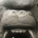 King Kong Cave ATV Quad Bike Ubud - The Location and Atmosphere