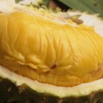 King of Tropical Fruits - Durian Tasting Tour From Kuala Lumpur - Who Would Love This Tour?