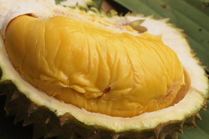 King of Tropical Fruits - Durian Tasting Tour From Kuala Lumpur - Who Would Love This Tour?