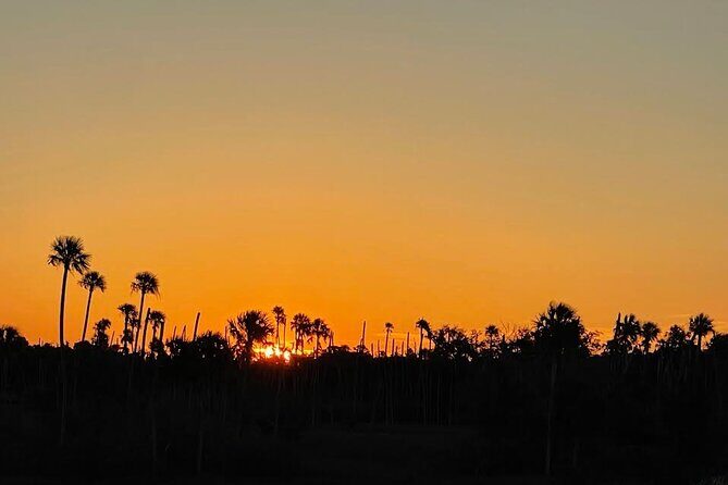 King's Bay Sunset Cruise - Who Should Book This Tour?