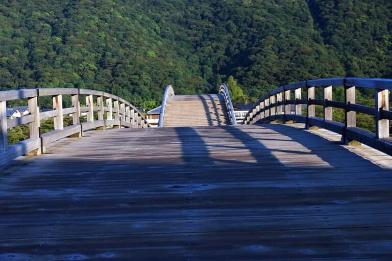 Kintai-Kyo Bridge and Iwakuni Castle with local guide 3h - A Practical Look at the Tour Experience