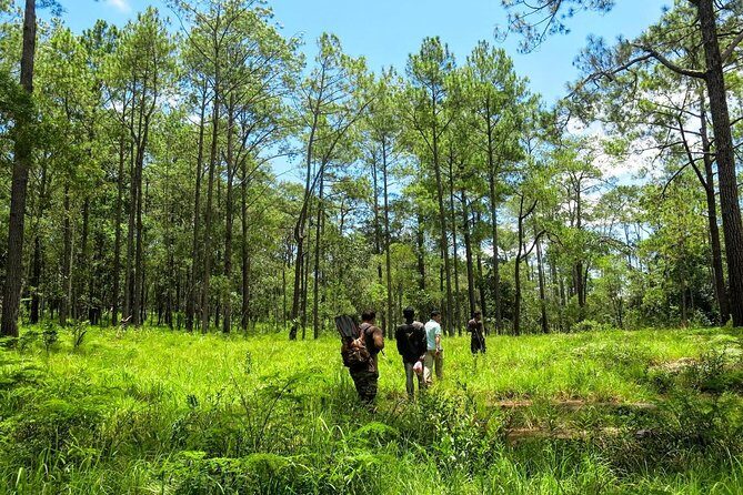 Kirirom National Park Private Day Tour from Phnom Penh