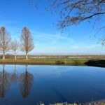 Kissimmee and St. Cloud Beach Tour on All Electric Trike (3 hrs.) - The Experience and What It Means for You