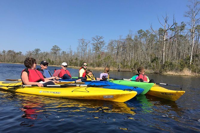 Kitty Hawk Maritime Forest Kayak Tour - The Sum Up: Is the Kitty Hawk Maritime Forest Kayak Tour Right for You?