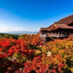 Kiyomizu Temple and Backstreet of Gion Half Day Group Tour - Exploring Kyoto’s Heart in a Half Day