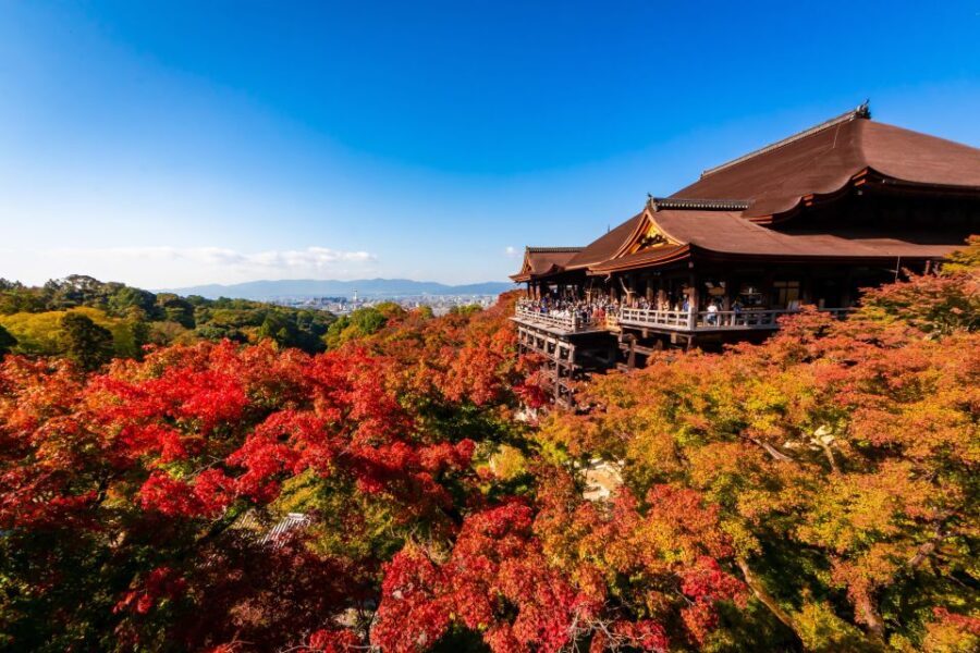 Kiyomizu Temple and Backstreet of Gion Half Day Group Tour - Exploring Kyoto’s Heart in a Half Day