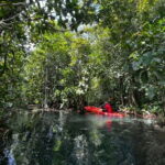 Klong Rud Kayaking with Hotel Transfer - A Closer Look at the Klong Rud Kayaking Tour