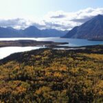 KLUANE NATIONAL PARK - Day-Trip from Whitehorse - Is This Tour Worth the Price?