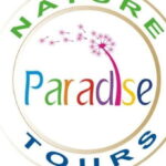 Knuckles Leopard trail Trek from Kandy - An In-Depth Look at the Knuckles Leopard Trail Trek