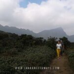 Knuckles Mountain Hiking - An In-Depth Look at Knuckles Mountain Hiking