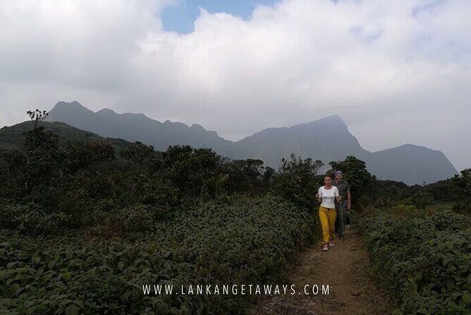 Knuckles Mountain Hiking - An In-Depth Look at Knuckles Mountain Hiking