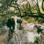 Knuckles Mountain Range: Kotaganga Waterfall Chain Hike - The Value of the Experience