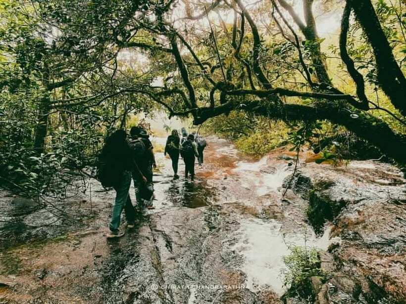 Knuckles Mountain Range: Kotaganga Waterfall Chain Hike - The Value of the Experience