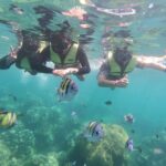 Ko Lanta: 4 Islands and Emerald Cave Day Tour by Speedboat - Who Will Love This Tour?