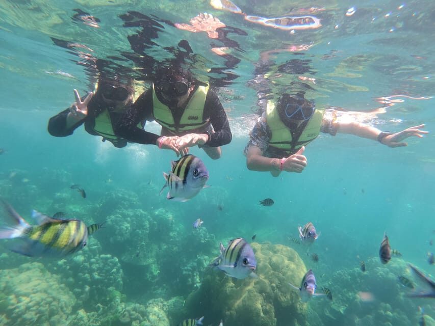 Ko Lanta: 4 Islands and Emerald Cave Day Tour by Speedboat - Who Will Love This Tour?