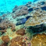 Ko Lanta: 4 Islands Snorkeling Tour by Longtail Boat - What It Feels Like to Be on This Tour