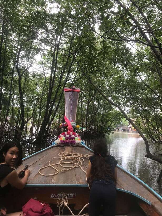 Ko Lanta: EXPLORE MANGROVE TOUR BY LONGTAIL BOAT WITH LUNCH - Who Will Love This Tour?