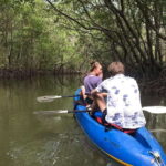 Ko Lanta: HALF DAY EXPLORE MANGROVE KAYAKING TOUR AND LUNCH - Breakdown of the Itinerary