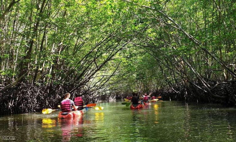 Ko Lanta: Half-Day Mangrove Kayaking Tour with Lunch - Practical Tips for Travelers