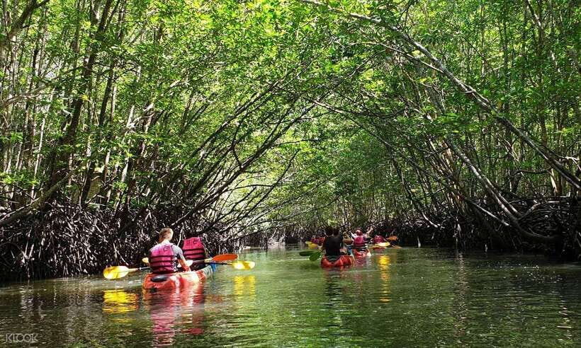 Ko Lanta: Half-Day Mangrove Kayaking Tour with Lunch - Practical Tips for Travelers
