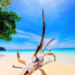 Ko Lanta: Koh Rok & Koh Haa Snorkelling Tour by Speedboat - Final Thoughts