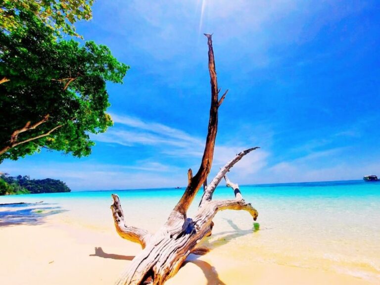 Ko Lanta: Koh Rok & Koh Haa Snorkelling Tour by Speedboat - Final Thoughts