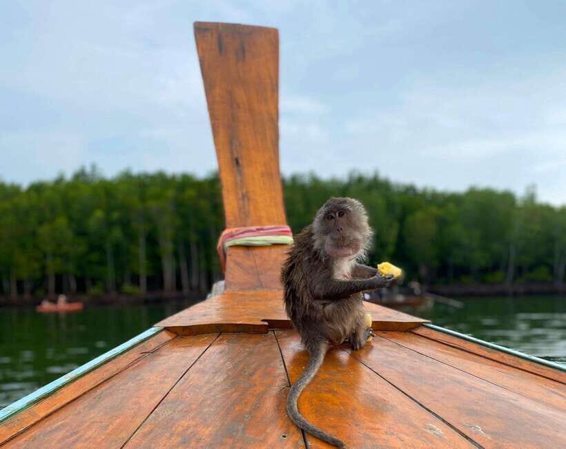 Ko Lanta: Mangrove Forest Kayak & Wildlife Adventure - Breaking Down the Itinerary