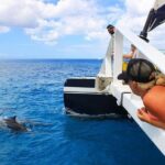 Ko Olina Catamaran Sail and Snorkel - The Bottom Line