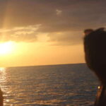 Ko Phi Phi Don: Speedboat Day Trip with Shark Snorkeling - The Overall Value