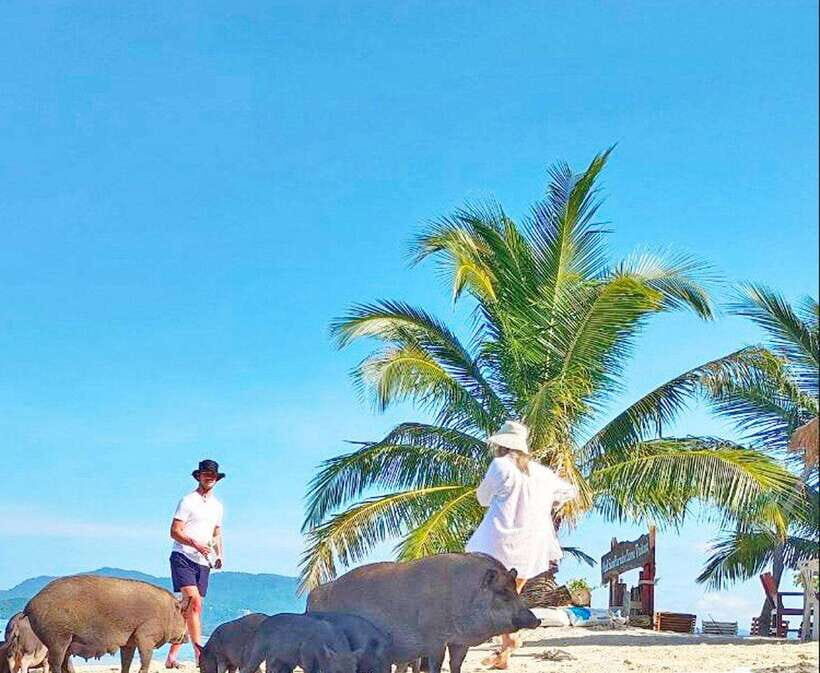 Ko Samui: Pig Island Snorkeling and Koh Tan Speedboat Tour - What Makes This Tour Stand Out