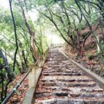 Kobe: Nunobiki Falls Morning Guided Hike - A Closer Look at the Nunobiki Falls Guided Hike