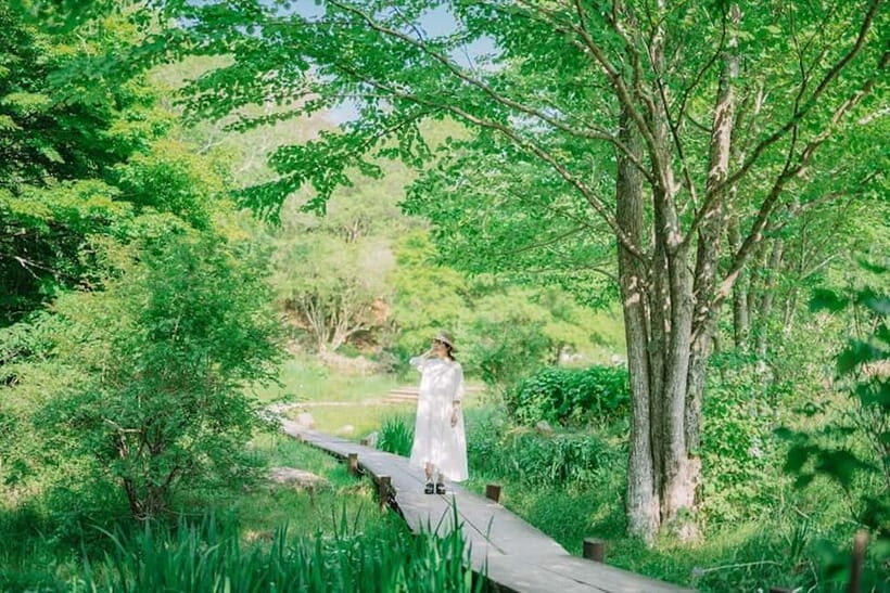 Kobe: Rokko Forest Sound Museum Admission Ticket - The Itinerary Breakdown