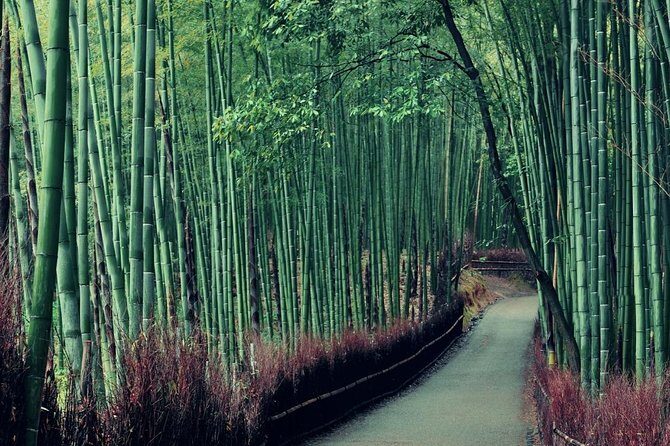 Kobe Shore Excursion to Kyoto: Private Tour with Local Guide - Who Would Love This Tour?