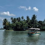Kochi: Electric Boat Private Tour - An In-Depth Look at the Kochi Electric Boat Tour