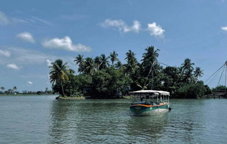 Kochi: Electric Boat Private Tour - An In-Depth Look at the Kochi Electric Boat Tour