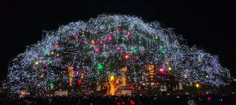 Kochi: Flea & Festive Market - Record-Breaking Art and Architecture