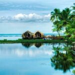 Kochi: Private car rental for 8 hr/80 km - Why This Tour Might Be Perfect for You