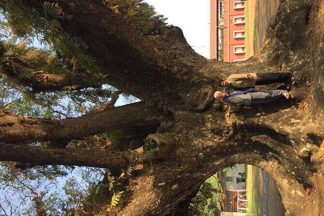 Kochi Sightseeing Tuk-Tuk Tour with Pickup From Cruise Ships - Who Would Love This Tour?