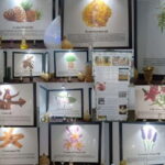 Kochi: Urban Spice Trail Walk - Final Thoughts