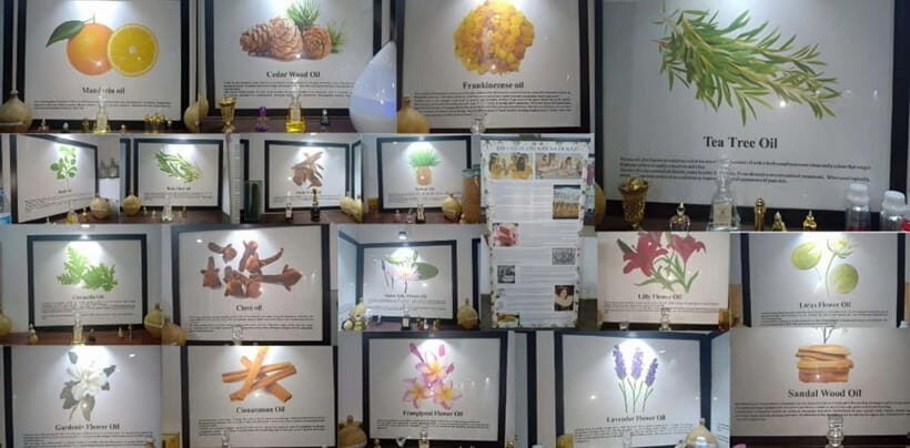 Kochi: Urban Spice Trail Walk - Final Thoughts