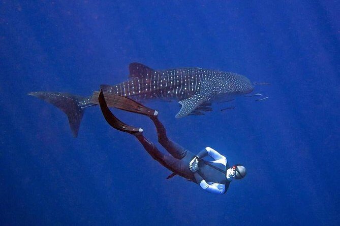 Koh Chang Freedive Trip ( Start at Koh Chang) - Who Should Consider This Tour?