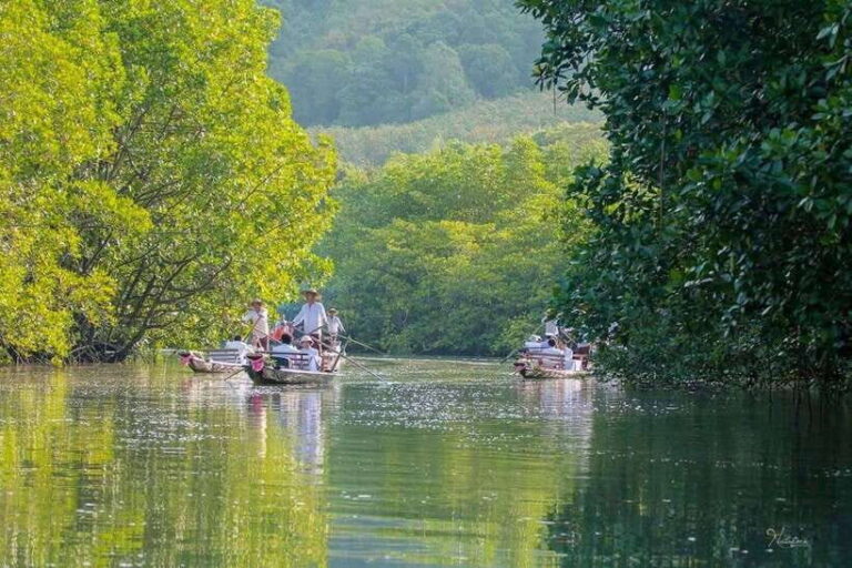 Koh Chang: Mangrove Forest Gondola Tour - Who Will Love This Tour?