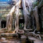 Koh Ker & Beng Mealea Full-Day Join-in Tour by Minivan - The Sum Up
