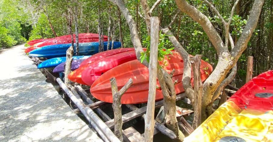 Koh Lanta:Mangrove + Elephant Camp Half Day Tour